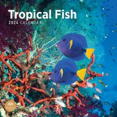 Tropische Vissen Kalender 2024