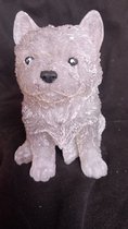 starwolf, beeldje malthezer pup met ledverlichting, geschenk, decoratie