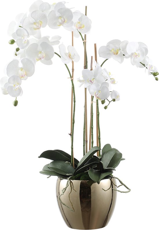 Composition d'Orchidée Artificielle avec vase doré Grand Format - Blanc / 79 cm