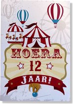 Hourra 12 ans! Carte d'anniversaire de Luxe - 12x17cm - Carte de vœux pliée avec enveloppe - Carte d'âge