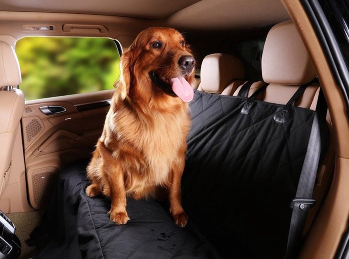 Lowander achterbank beschermhoes hond - Kofferbak auto - 145x165 cm