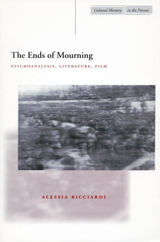 Cultural Memory in the Present-The Ends of Mourning - cover