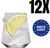 TEN® Elite Waterglas 510ml - 12 Stuks - Hoogwaardig Kristalglas - Kleine waterglazen - Waterglazen Set - Drinkglazen