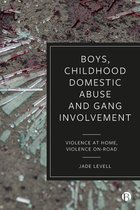 Boys, Childhood Domestic Abuse and Gang Involvement