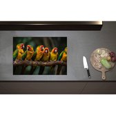 Inductieplaat Beschermer - Ara papegaaien zitten op een rijtje langs elkaar op een tak - 70x50 cm - 2 mm Dik - Inductie Beschermer - Bescherming Inductiekookplaat - Kookplaat Beschermer van Zwart Vinyl