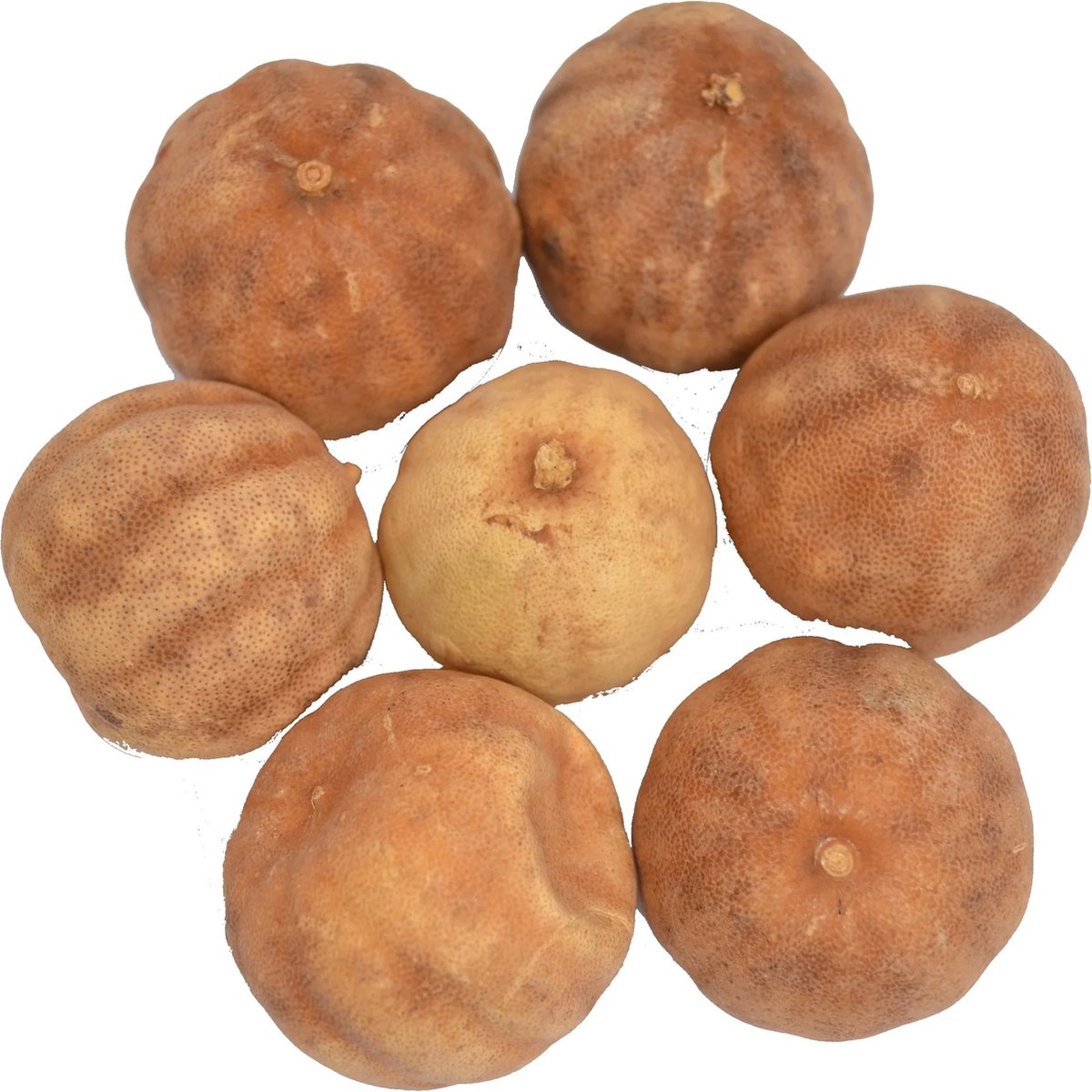 Goedkoopste Limoen wit gedroogd