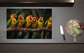 Inductieplaat Beschermer - Ara papegaaien zitten op een rijtje langs elkaar op een tak - 80x55 cm - 2 mm Dik - Inductie Beschermer - Bescherming Inductiekookplaat - Kookplaat Beschermer van Zwart Vinyl