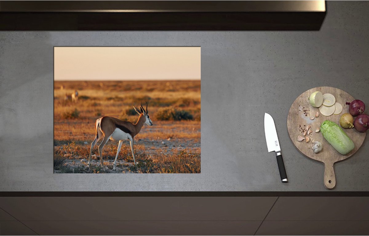 Inductieplaat Beschermer - Achterkant van Antilope in Landschap, Afrika - 60x52 cm - 2 mm Dik - Inductie Beschermer - Bescherming Inductiekookplaat - Kookplaat Beschermer van Zwart Vinyl