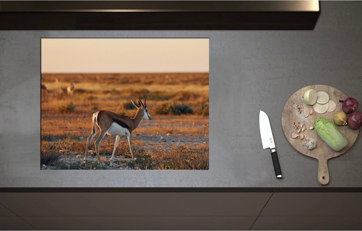 Inductieplaat Beschermer - Achterkant van Antilope in Landschap, Afrika - 70x55 cm - 2 mm Dik - Inductie Beschermer - Bescherming Inductiekookplaat - Kookplaat Beschermer van Zwart Vinyl
