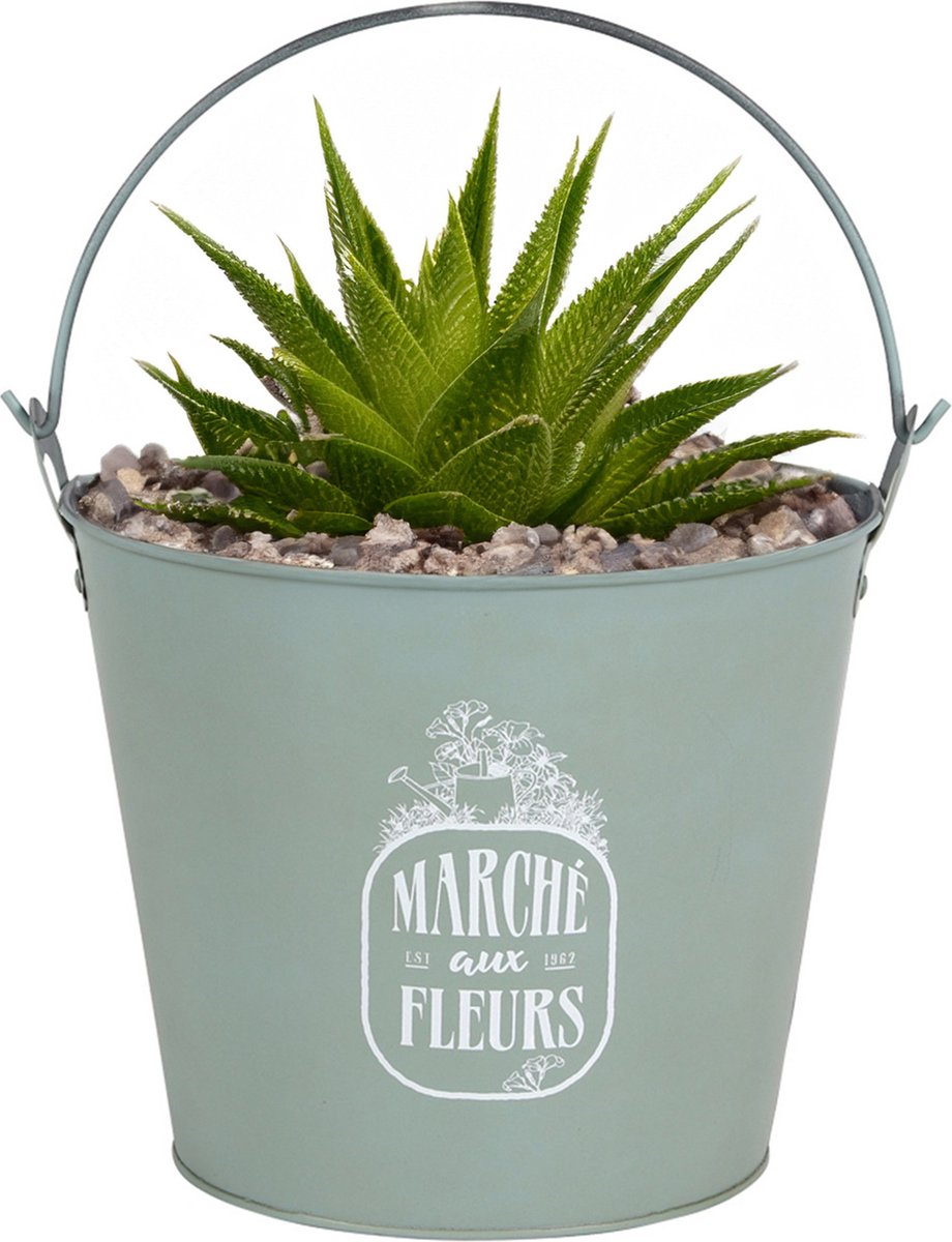 Goedkoopste Sunnydays Emmer/plantenpot/bloempot - zink - jadegroen - D24 x H19 cm