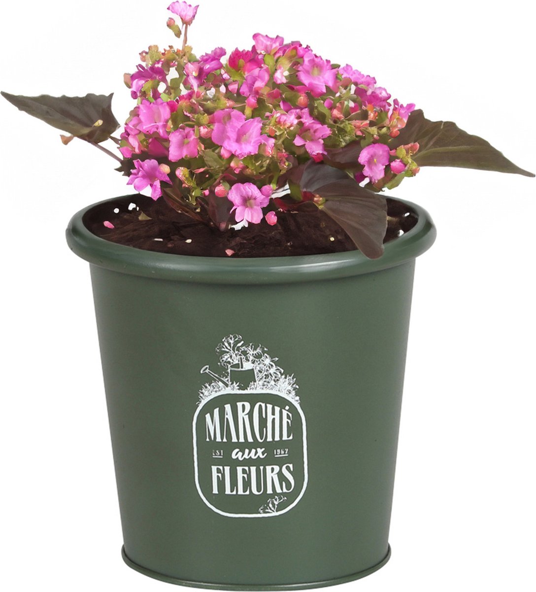 Goedkoopste Sunnydays /plantenpot/bloempot - zink - legergroen - D14 x H13 cm