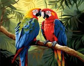 Schilderen op nummer Volwassenen – Papegaaien- 40 x 50 centimeter - Paint by numbers - Verven - Volwassenen - Cadeau voor man en vrouw