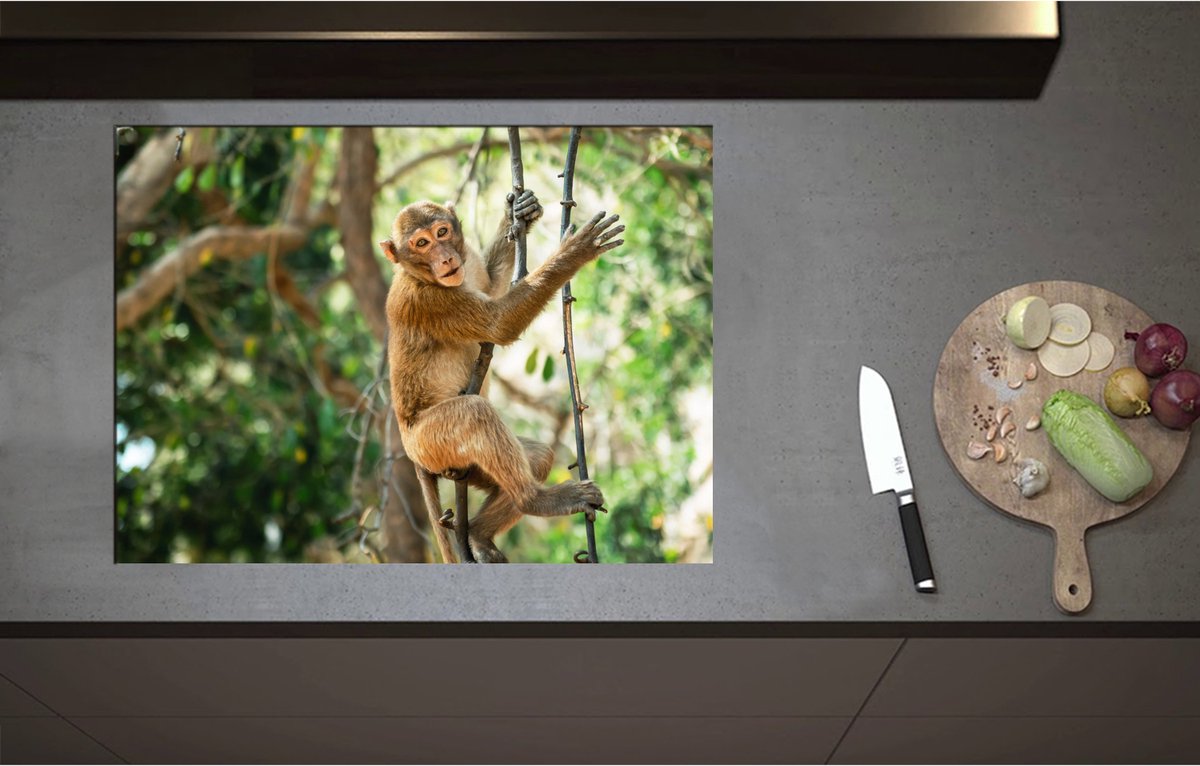 Inductieplaat Beschermer - Aap hangt en zit op takken in de jungle - 75x55 cm - 2 mm Dik - Inductie Beschermer - Bescherming Inductiekookplaat - Kookplaat Beschermer van Wit Vinyl