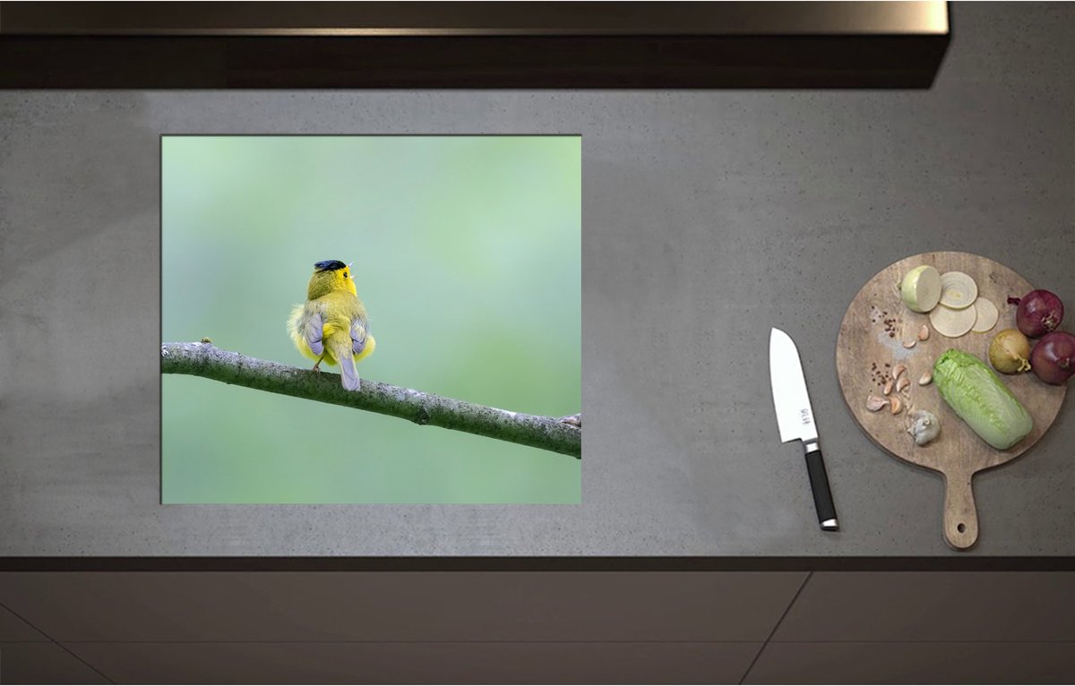 Inductieplaat Beschermer - Achteraanzicht van Zingend Geel Wilsons Vogeltje op een Tak - 59x52 cm - 2 mm Dik - Inductie Beschermer - Bescherming Inductiekookplaat - Kookplaat Beschermer van Wit Vinyl