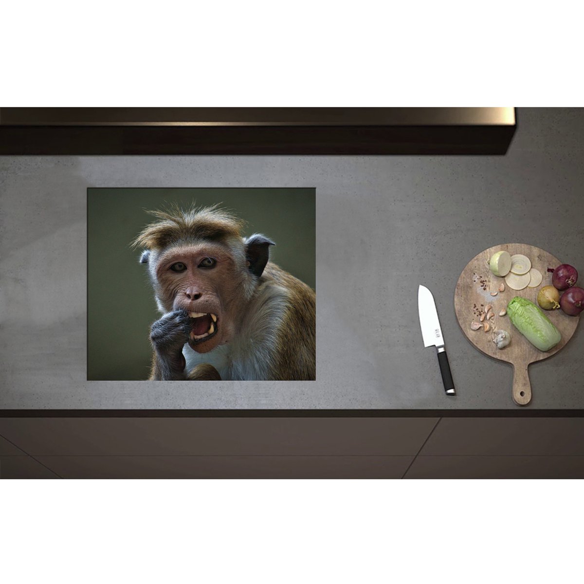 Inductieplaat Beschermer - Aankijkende Resus Aap aan het Eten - 59x50 cm - 2 mm Dik - Inductie Beschermer - Bescherming Inductiekookplaat - Kookplaat Beschermer van Wit Vinyl