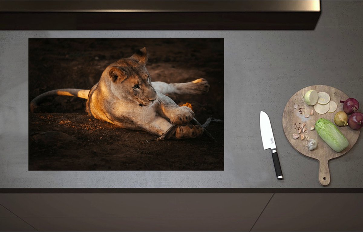 Inductieplaat Beschermer - Afrikaanse Vrouwtjes Leeuw Spelend met Stok - 80x55 cm - 2 mm Dik - Inductie Beschermer - Bescherming Inductiekookplaat - Kookplaat Beschermer van Zwart Vinyl