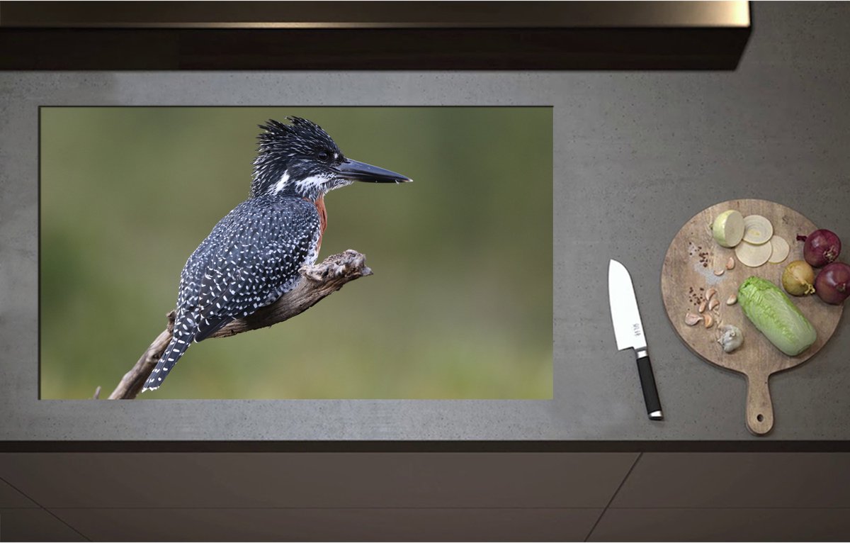 Inductieplaat Beschermer - Afrikaanse Reuzenijsvogel op Tak in de Natuur - 90x52 cm - 2 mm Dik - Inductie Beschermer - Bescherming Inductiekookplaat - Kookplaat Beschermer van Wit Vinyl