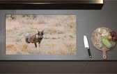 Inductieplaat Beschermer - Aankijkend Zwijn in Droog Afrikaans Landschap - 90x52 cm - 2 mm Dik - Inductie Beschermer - Bescherming Inductiekookplaat - Kookplaat Beschermer van Zwart Vinyl