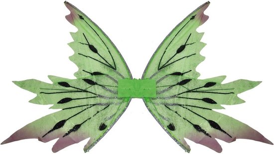 Vleugels Tinkerbell