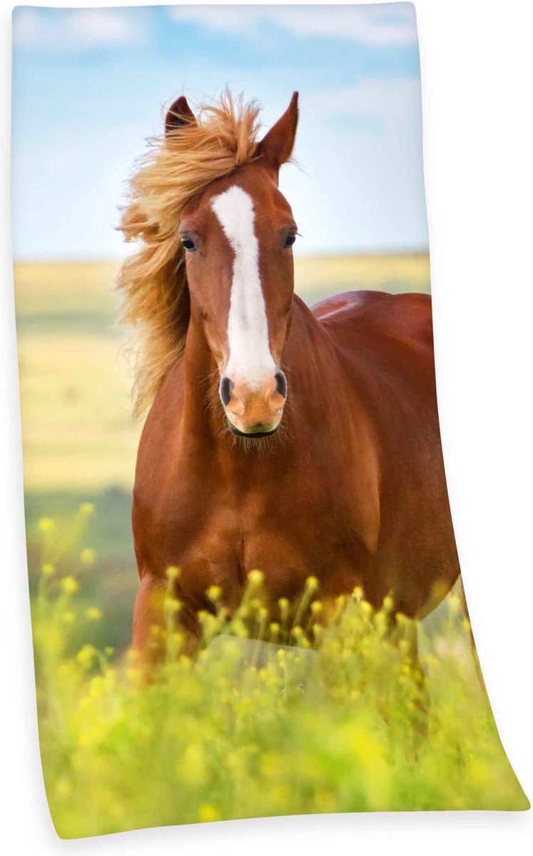 HERDING 6124206516, 75 x 150 cm, Katoen, Meerkleurig, 1 stuk(s)