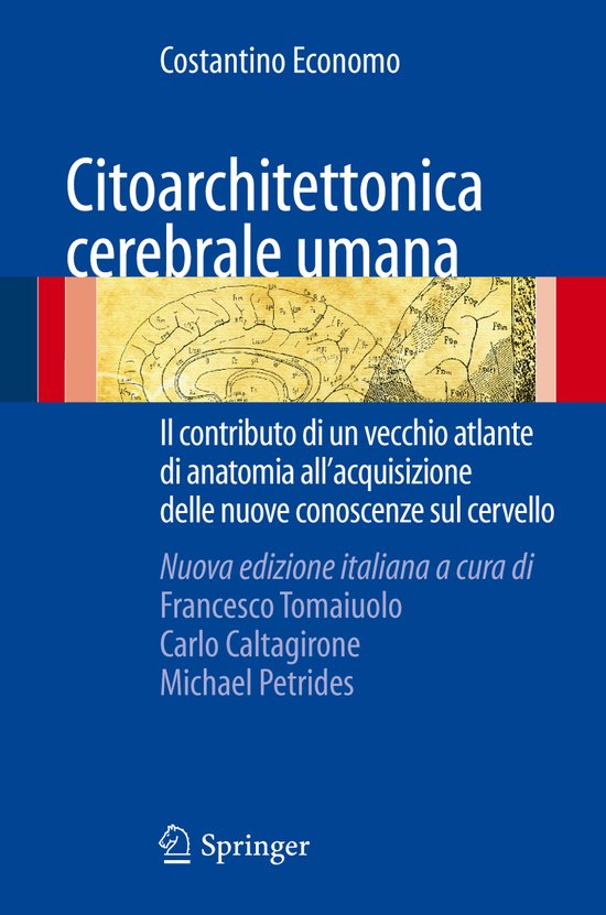 Citoarchitettonica cerebrale umana