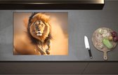 Inductieplaat Beschermer - Aanstormende Mannetjes Leeuw door het Afrikaanse Landschap - 70x55 cm - 2 mm Dik - Inductie Beschermer - Bescherming Inductiekookplaat - Kookplaat Beschermer van Wit Vinyl
