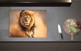 Inductieplaat Beschermer - Aanstormende Mannetjes Leeuw door het Afrikaanse Landschap - 70x52 cm - 2 mm Dik - Inductie Beschermer - Bescherming Inductiekookplaat - Kookplaat Beschermer van Zwart Vinyl