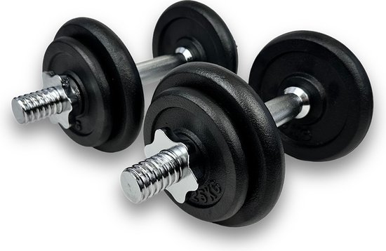Gorilla Sports Dumbellset 20 kg Gietijzer incl. Koffer kopen