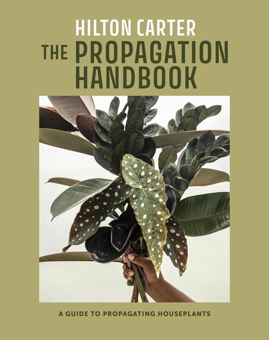 The Propagation Handbook - cover