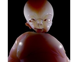 Arca - &&&&& (LP)