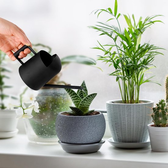 Lizbin Gieter voor kamerplanten met lange tuit, gieter binnen, kleine gieters, plantengieters, tuinwaterblikken voor vetplanten, bonsaibloemen 1 l (groen