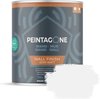 Peintagone - Wall Finish Semi-Mat - 0,5 liter - RAL 9016