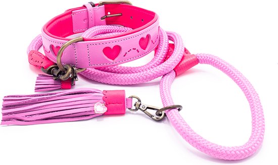 DWAM Dog with a Mission – Collier pour chien – Collier pour chien – Rose – XXS – Cuir – Tour de cou entre 19-24 x 2 cm – Sweety