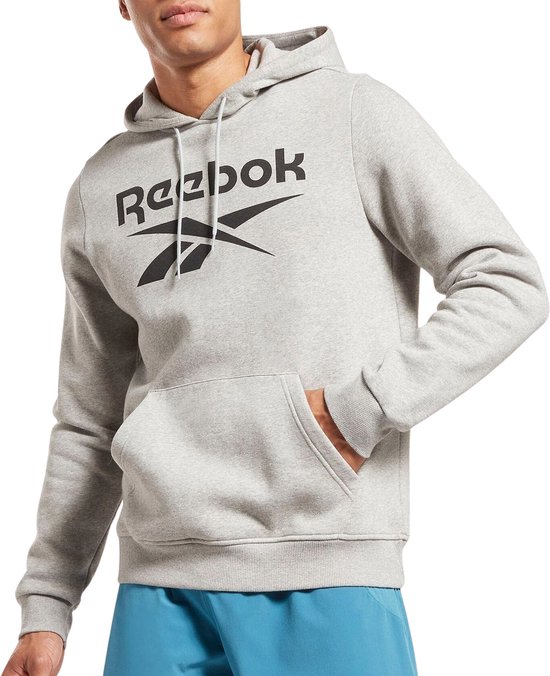 Reebok RI FLC BIG LOGO HOOD - Heren Trui - Grijs - Maat 2XL