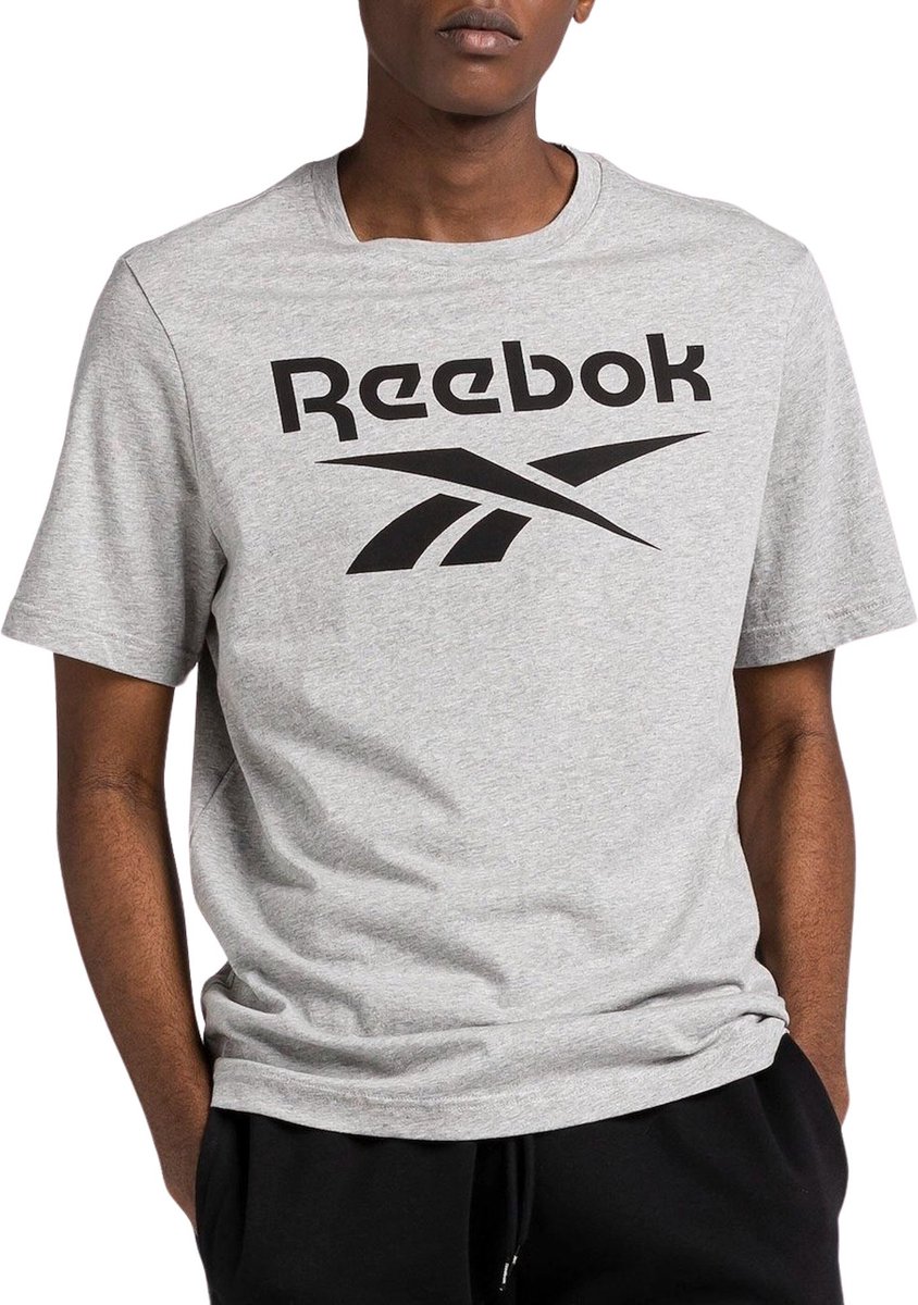 Reebok RI BIG STACKED LOGO TEE Heren T-shirt Grijs