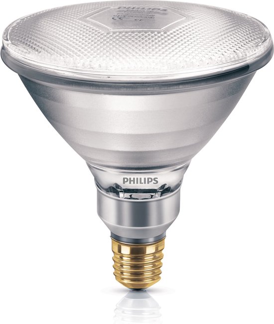 Philips Persglas Par 38 Spot 80W E27 - Philips