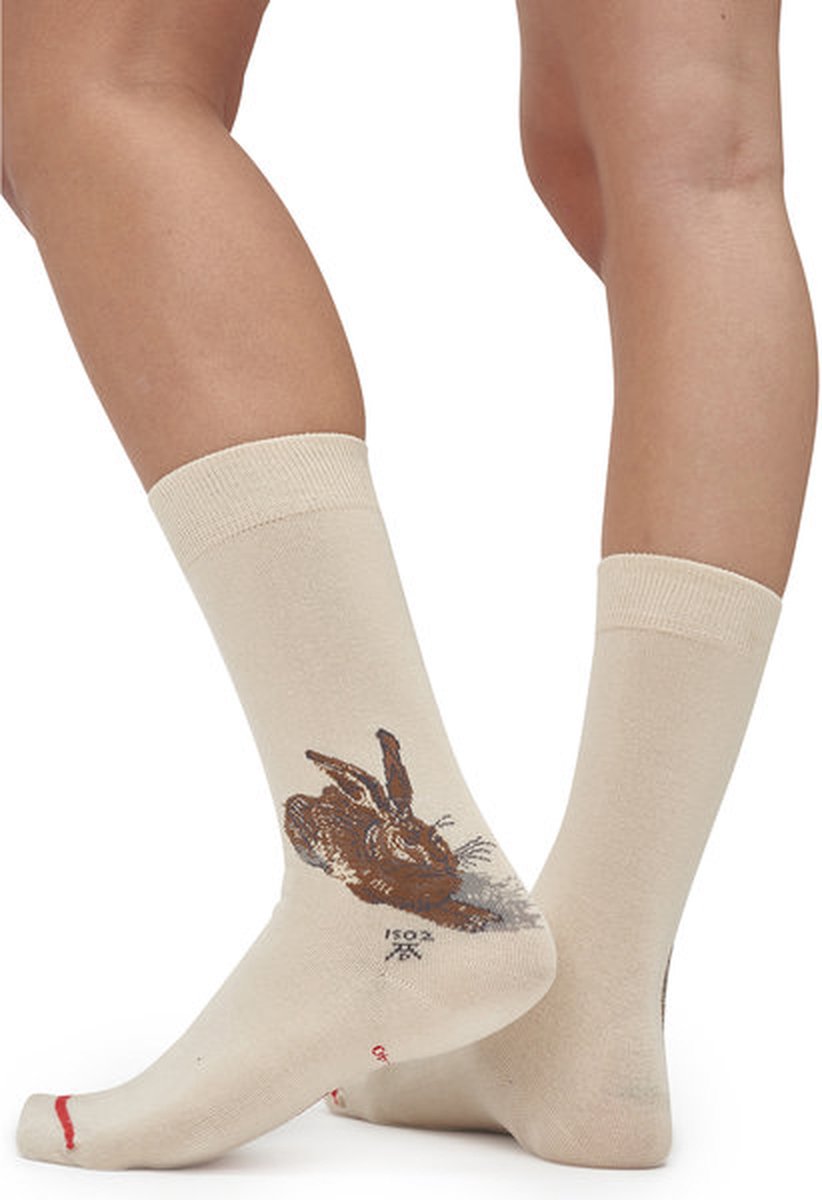 Albrecht Dürer - Young Hare 40-46