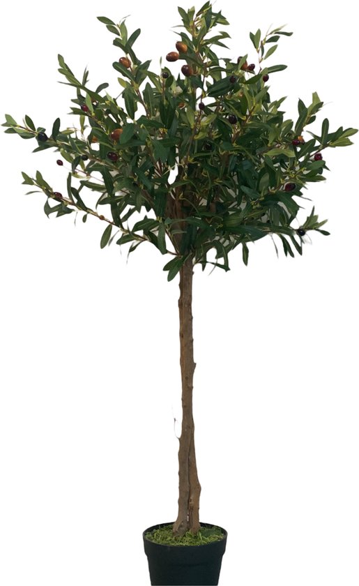 Olijfboom - Olijfboom op stam - Kunst Olijfboom op echte stam - Kunstplant 1 meter - Kunst plant