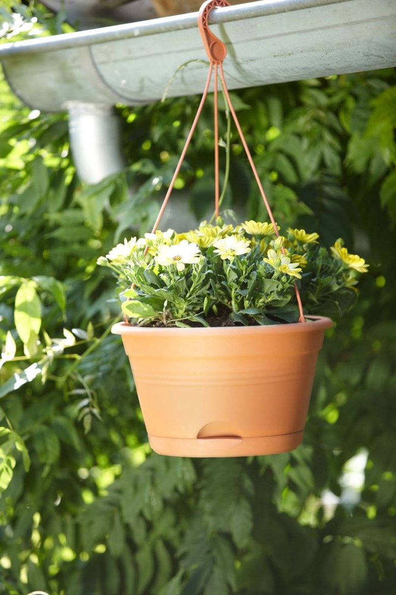 Elho Green Basics Hangschaal 28 - Bloempot voor Balkon Buiten