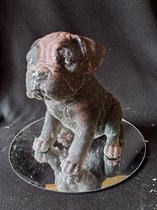 starwolf, beeld stafford puppy, zwart/wit/bruin, geschenk, decoratie