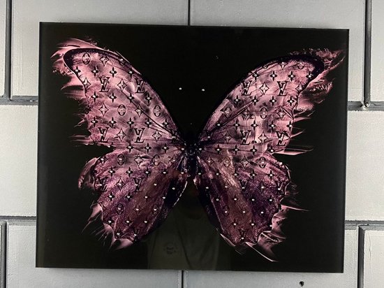 Lv Vlinder met staintjes schilderij op plexiglas 50x40cm