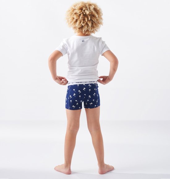 Little Label T-shirt Garçons Wit - 3 pièces - Ensemble de valeur - Taille 146-152 - Katoen BIO doux