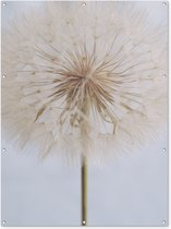 Tuinposter - Bloemen - Paardenbloem - Design - Muurdecoratie - Schuttingposter - Poster voor buiten - 120x160 cm