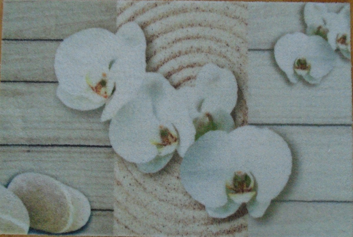 FOTAPIJT - Badmat - Bedrukte deurmat - Binnen - Termo Antislip - 40x60 cm - 6 mm - Wasbaar - Polyamide