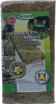 Dragon Forest Moss 100g - Mousse de Terrarium séchée - Terrariums Bio-actifs