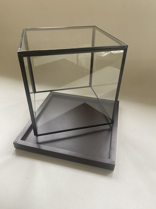 Vierkante glazen stolp - Vitrine - Display