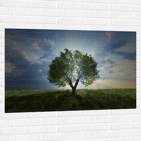 Muursticker - Landschap - Natuur - Boom - 120x80 cm Foto op Muursticker