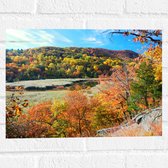 Muursticker - Herfst - Bomen - Water - Planten - Bos - 40x30 cm Foto op Muursticker