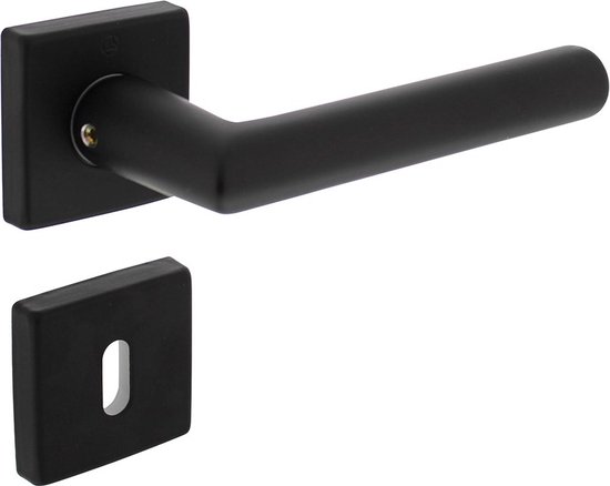 INTERSTEEL Deurkruk paar Jura op zelfklevend rozet RVS geborsteld kopen