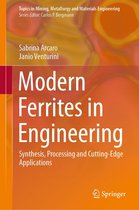 Topics in Mining, Metallurgy and Materials Engineering - Modern Ferrites in Engineering